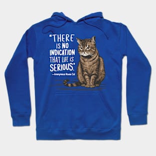 There Is No Indication Life Is Serious Funny House Cat Design Hoodie